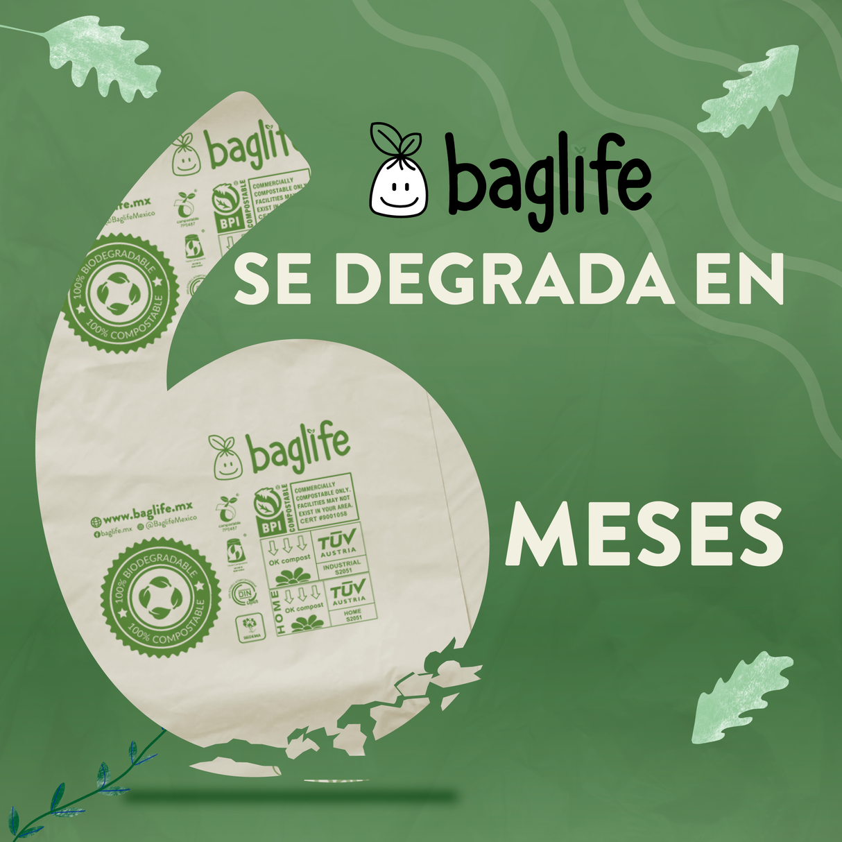 COMPOSTABLE BAGLIFE CHICA 22X22 CAJA C/50 PIEZAS