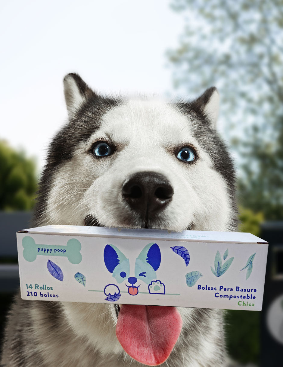 COMPOSTABLE BAGLIFE PET BAG CAJA 14 ROLLOS C/210 BOLSAS