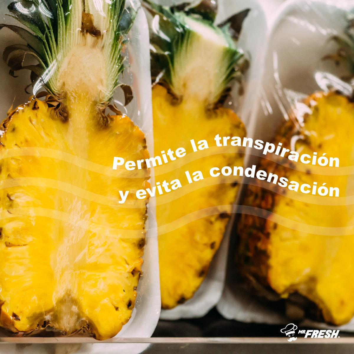 PELICULA MR. FRESH MASTER W BOX 12"