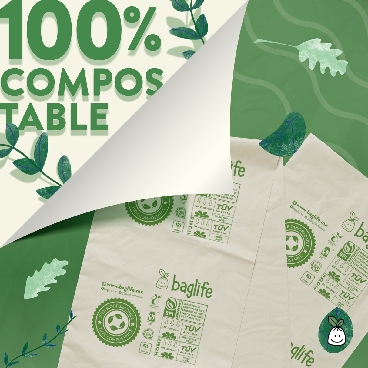  BAGLIFE COMPOSTABLE SMALL 22X22 BOX WITH 50 PIECES