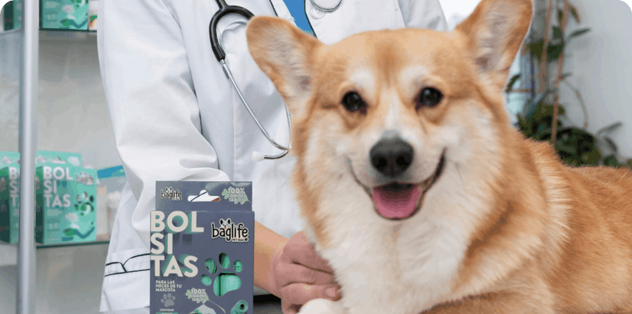 SERVICIO VETERINARIO